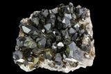Dark Smoky Quartz Crystal Cluster - Brazil #108316-1